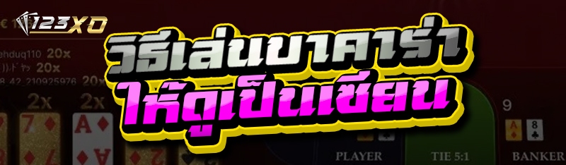 วิธีเล่นบาคาร่า
